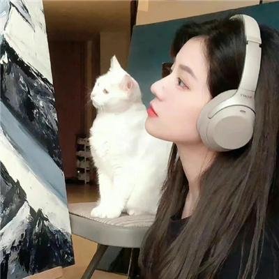 101朵玫瑰